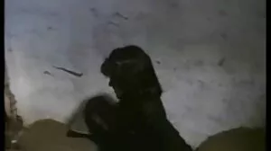 화 야외 성별 가 busty 젊 갈색 백마 포르노 머리 joanna 천사
