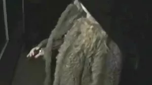카우걸 포즈에 못을 박은 멋진 성인 프르노 거유 블론디 Robbin Banx