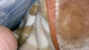 열렬한 대 금발의 kenzie reeves 미시 포르노 항문 엿 로 긴 형사